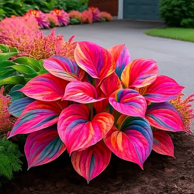 🌞 Easy-to-Grow Colorful Hostas for Year-Round Beauty
