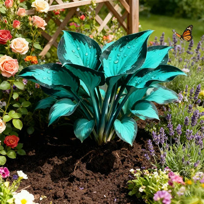 💚Hosta seeds, like jewels💎—cold-hardy, easy to care for, and brightly colored.