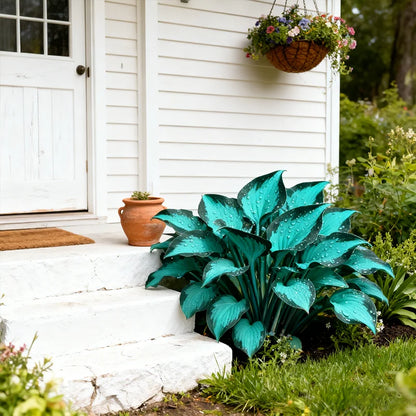 💚Hosta seeds, like jewels💎—cold-hardy, easy to care for, and brightly colored.