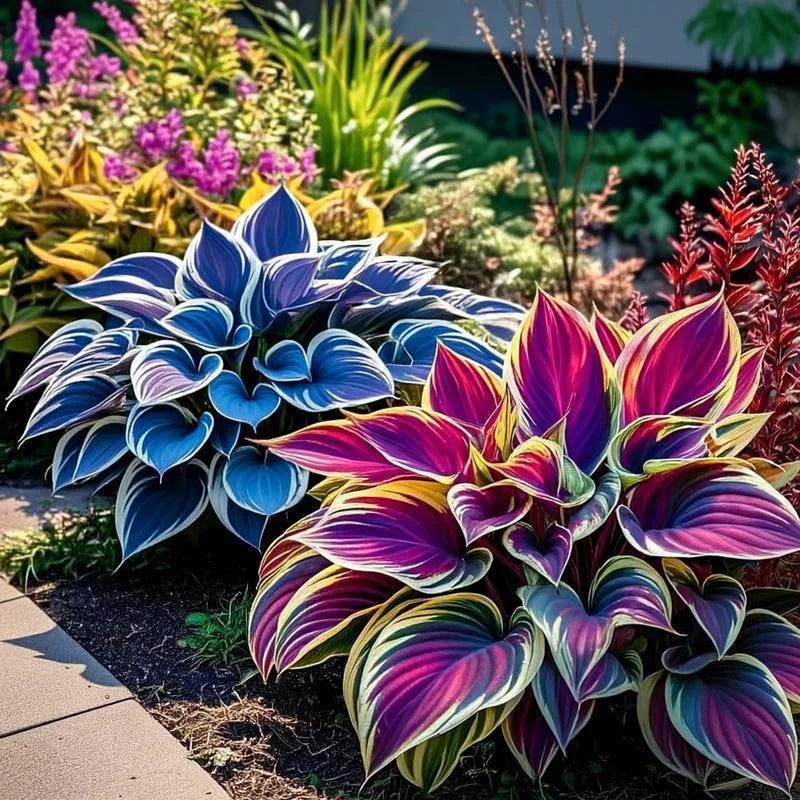 🌱 Perennial Shade Plants – Hostas for Every Garden