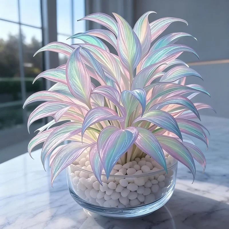 Buy 200 Seed