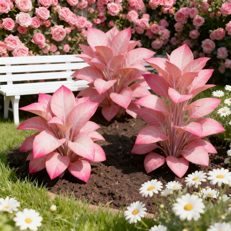 🌸Pink mist flower wall