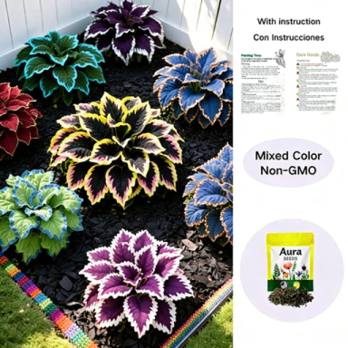 🌱 Perennial Shade Plants – Hostas for Every Garden
